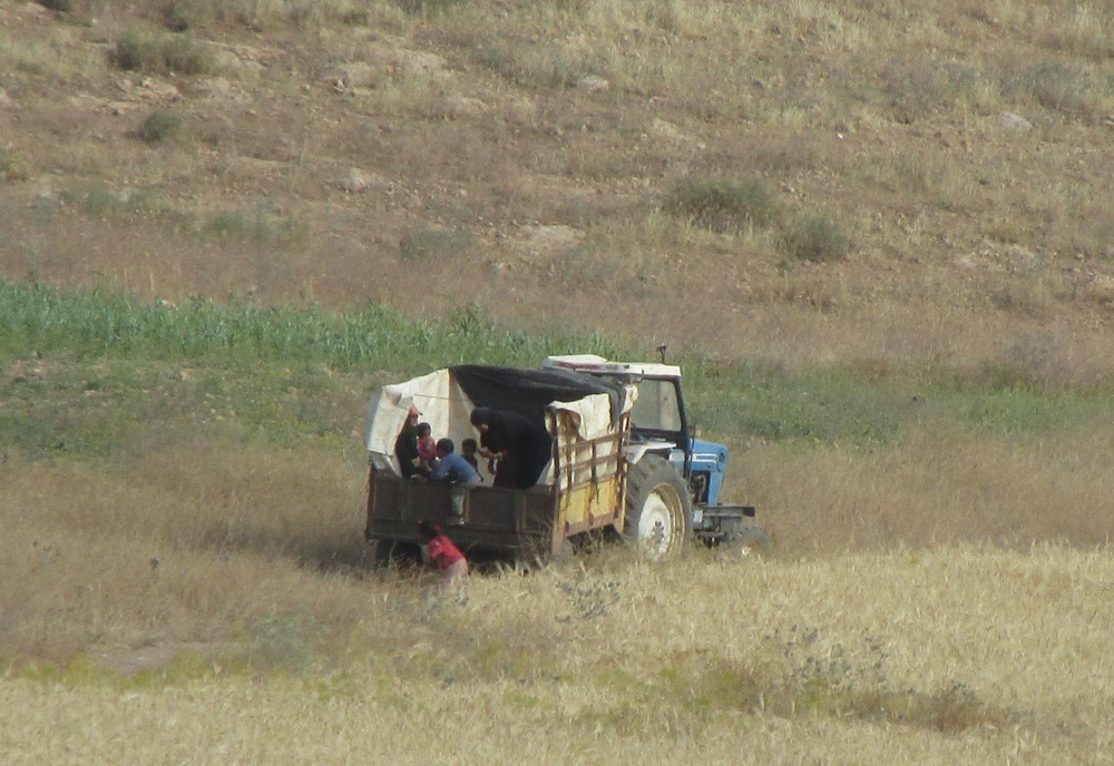 une famille réfugiée dans une remorque de tracteur