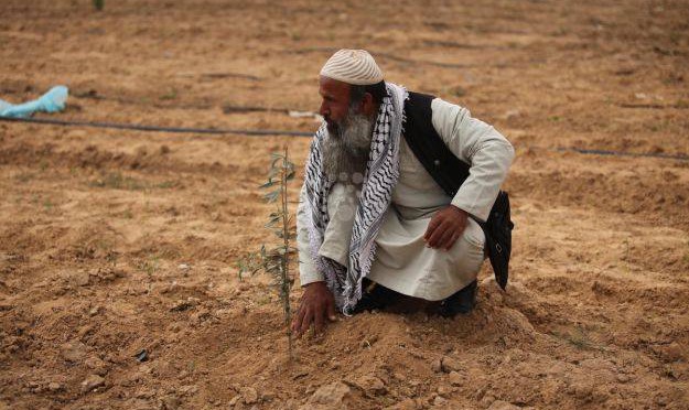 31 mars 2016 – JOURNEE DE LA TERRE EN PALESTINE